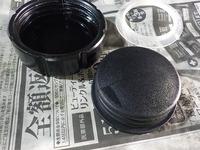 DSCN8927