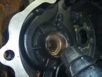 P1050082