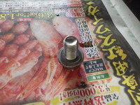 DSCN6241