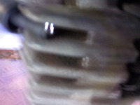 DSCN5689