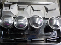 DSCN2732