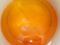 DSCN0990