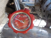 DSCN3085