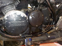DSCN8566