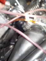 DSCN6026