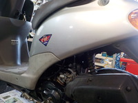 DSCN5239