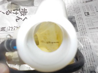 DSCN3685