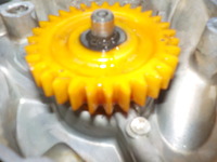 DSCN2797