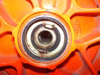 DSCN7350