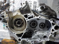 DSCN0208