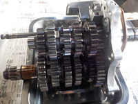 DSCN4877