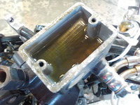 DSCN5899