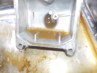 DSCN1309