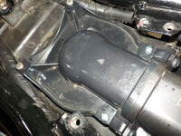 DSCN5925