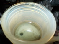 DSCN2489