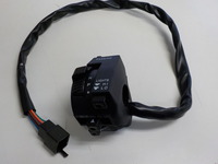 DSCN3633