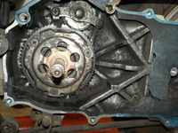 DSCN8571