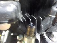 DSCN3511