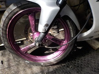 DSCN4768