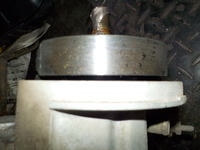 DSCN5846