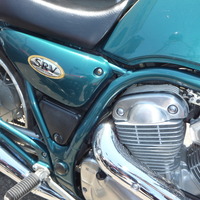 DSCF7384
