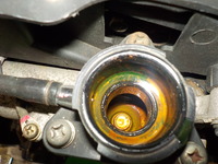 DSCN2638