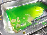 DSCN5179
