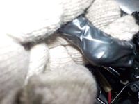 DSCN5211