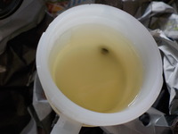 DSCN3427