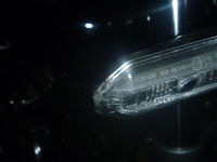 P1170205