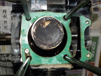 DSCN4398