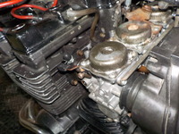 DSCN5935
