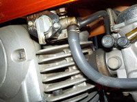 DSCN4223