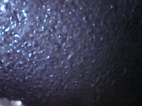 2025-06-20-09-37-27