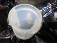 DSCN5445