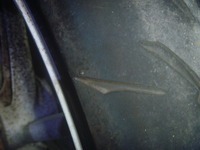 P1210835