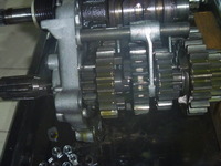 P1100664