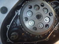 P1150631