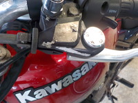 DSCN7503