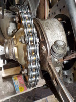 DSCN0623