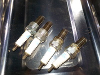 DSCN9254