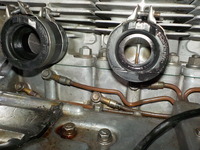 DSCN3376