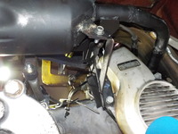 DSCN6977