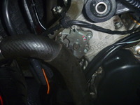 P1200783
