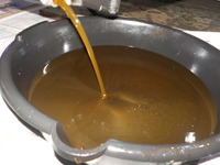 DSCN6245