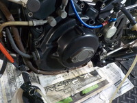 DSCN8286