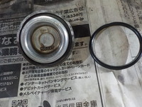 DSCN7885