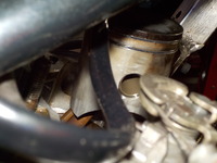 DSCN3361