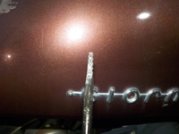 DSCN2874