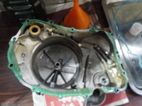 DSCN8622